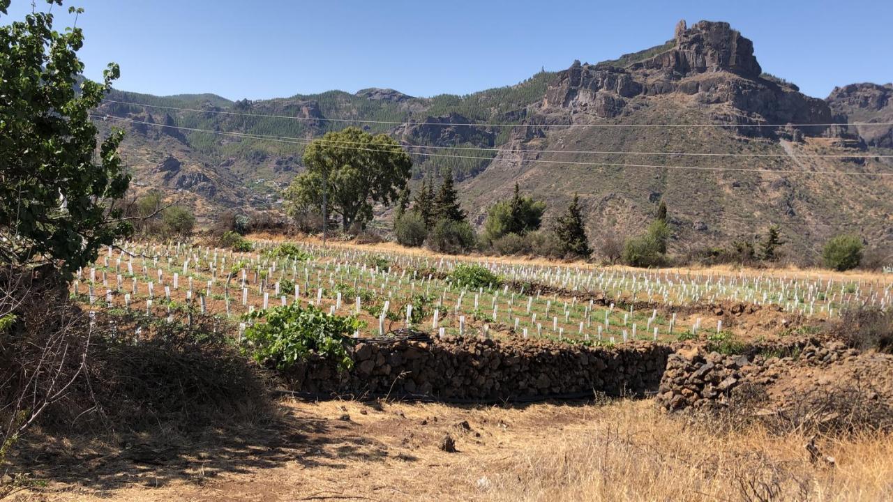 Villa Tejeda Parque Rural el Nublo Las Palmas de Gran Canaria Exterior foto